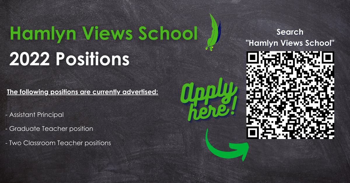 Hamlyn Views School 2022 Positions (4)